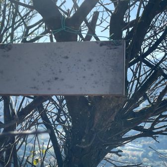 消えた、笠松山東峰。