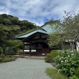 初めて訪れた、海蔵寺✨

神秘的な、気配のあるお寺でした。
また訪れたいお寺✨

教えてくれた友達に感謝です💕