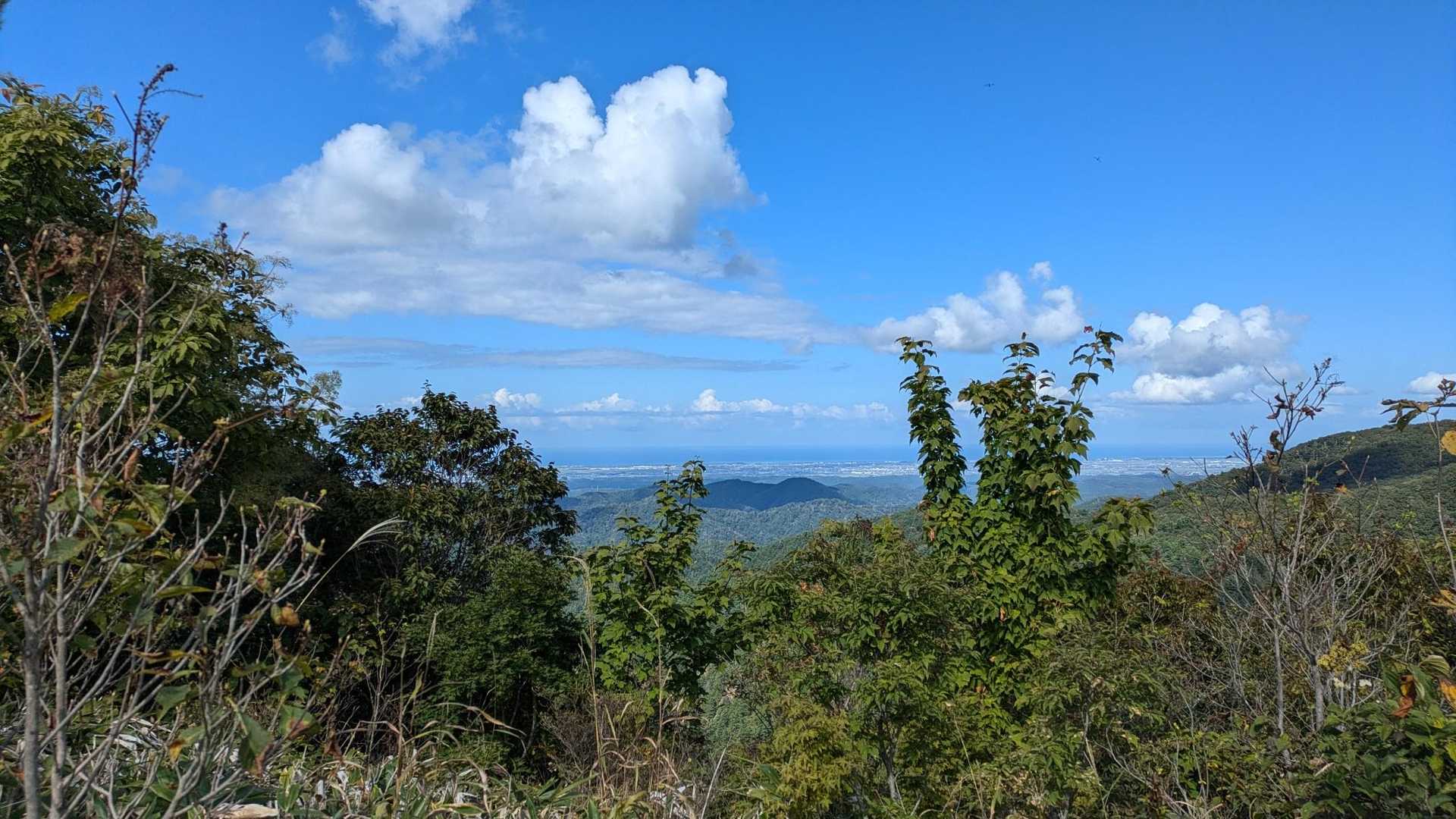 大倉岳登山口-ほとけ峠-大倉岳 周回コースの写真