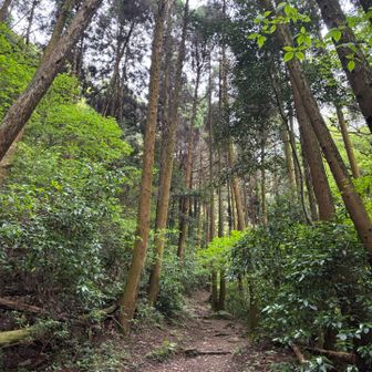 れあっぷ⛰️
