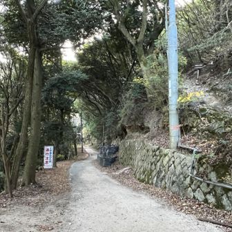 さあここはまだ結構な標高
ここから宝塚駅に向かいます
坂道を下る、道路を歩くのが一番しんどかった
足が悲鳴を上げていました