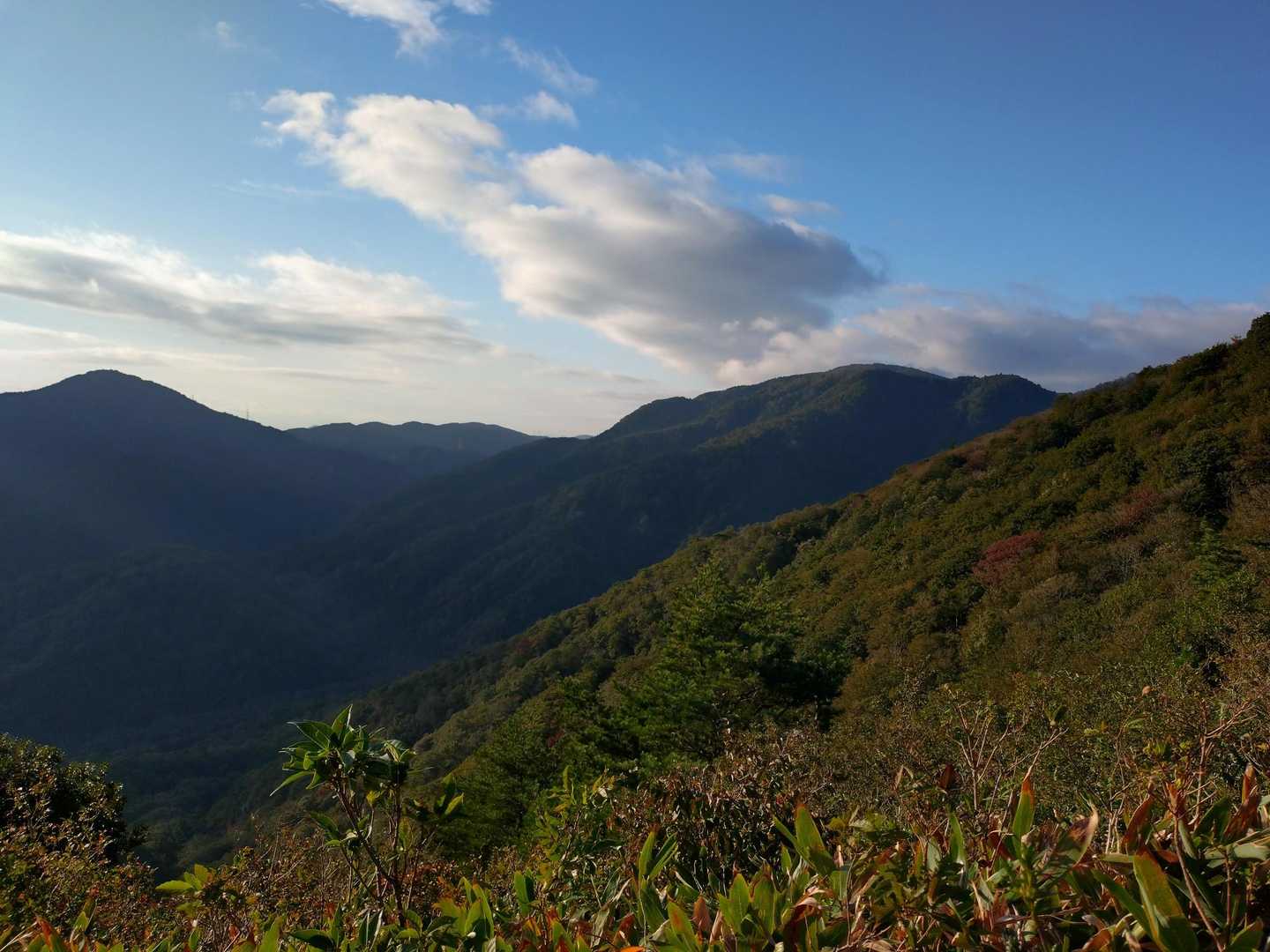 市橋登山口-夕暮山-岩籠山-インディアン平原-駄口登山口 縦走コースの写真