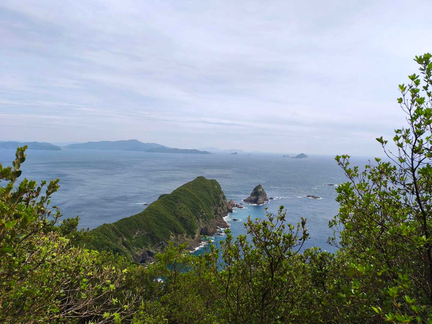由良山 往復コースの写真