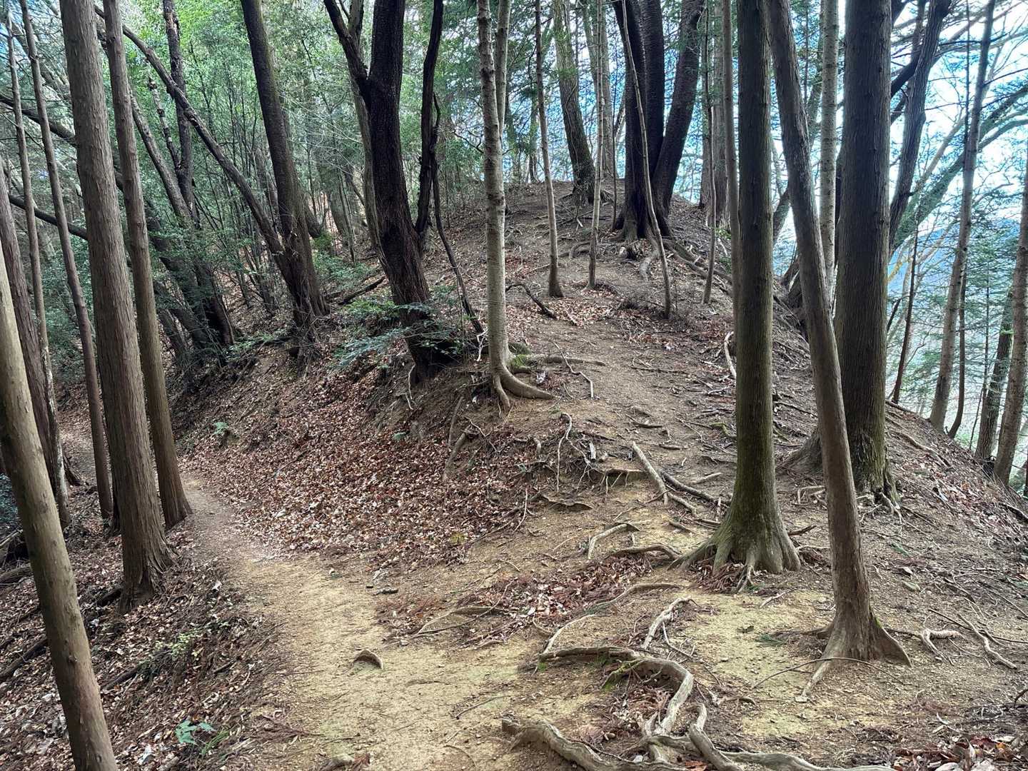 小ピークの【日影山】へ向かうには、右の斜面を登ります。