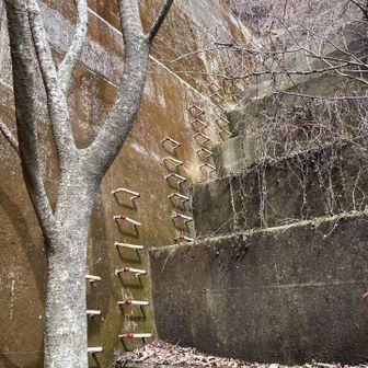 六甲山・長峰山・摩耶山 今度は➡️