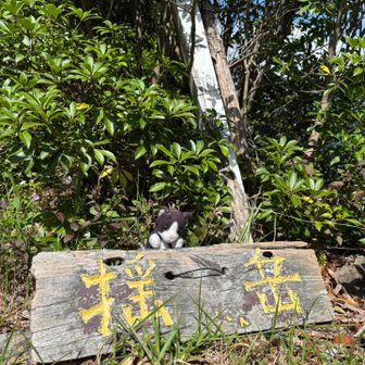 ゆるぎだけ登頂！
何とか頑張れました