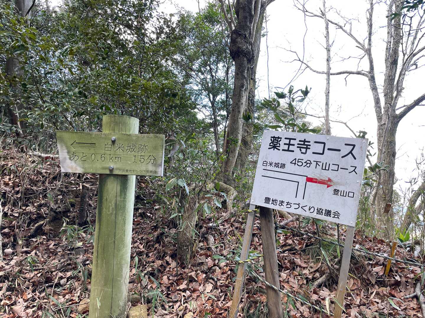 分岐