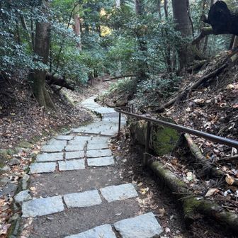 手すりが常設されてた