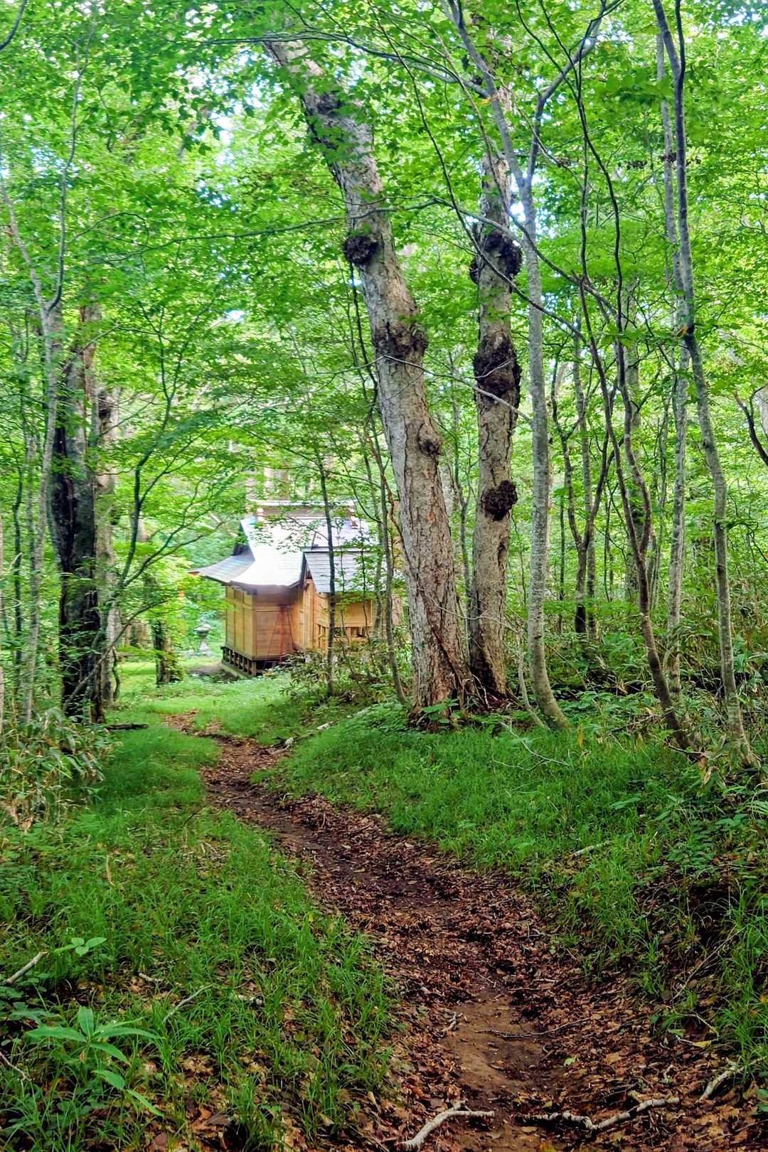 山頂より降ること約8分で
✨️稲庭駒形神社✨️トウチャコ👏