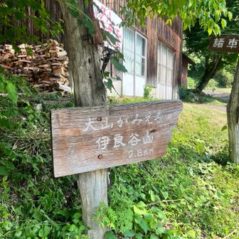 今日は伊良谷山へ⛰️