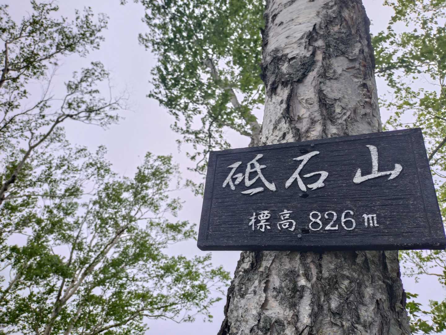 砥石山⛰️到着ですヽ(´ｴ`)ﾉ


標識格好いい！