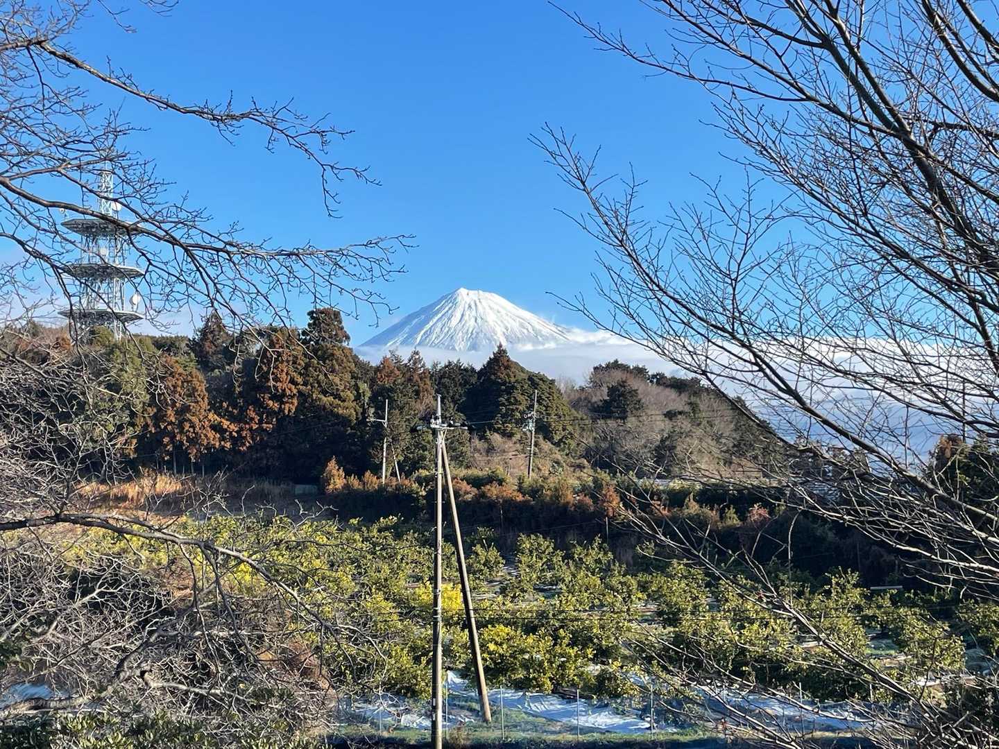 岩本山-明星山 往復コースの写真