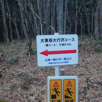 裏コース登山口まで戻ってきました。
今回は熊の形跡は無かった様です。
