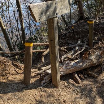 矢草の頭、ここから梅ノ木尾根へ