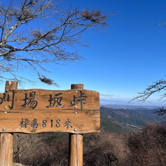 峠に到着して、持参した麦茶を飲んだ