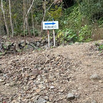 ようやく降りてきました。