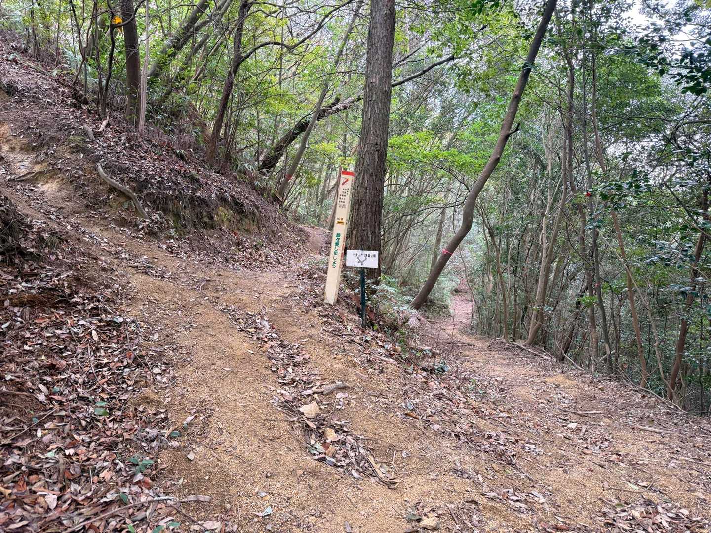 左側の玖波北山へ向かいます。