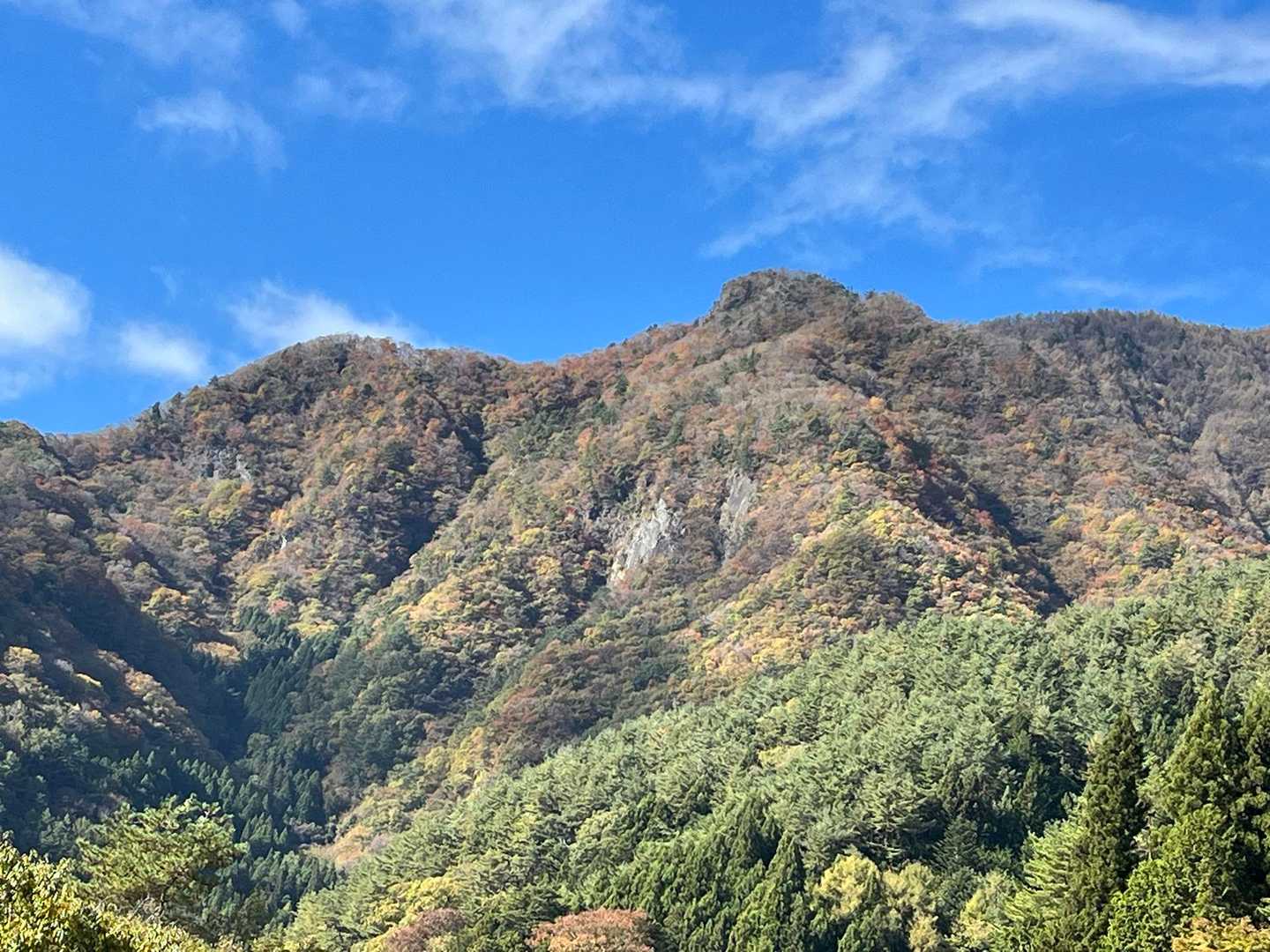 下山
見上げてみるとなんかいい感じ😃