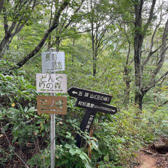 汗を拭き拭き7合目に到着♪