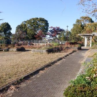 緒明山(おあきやま,31m)山頂はこの辺り。背中側には横須賀市中央図書館