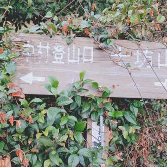 分岐があります⭐ヤマップを見れば完璧です👍有難い🚶方向音痴でも大丈夫💡💡
鬱蒼とした画像が手ブレで残念な事になったのでアップ出来てないです😵
