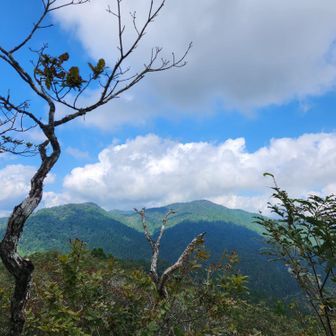 前回登った武奈ヶ岳
