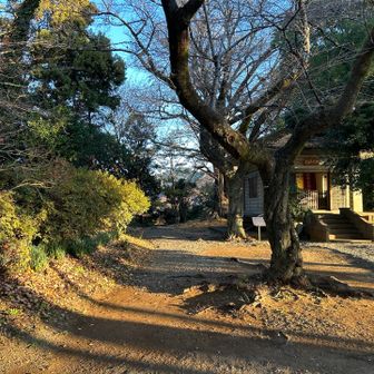大山へ続く道…、いつか大山まで行けるようになりたいな。😵‍💫