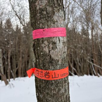 『四寸岩山』登頂💨