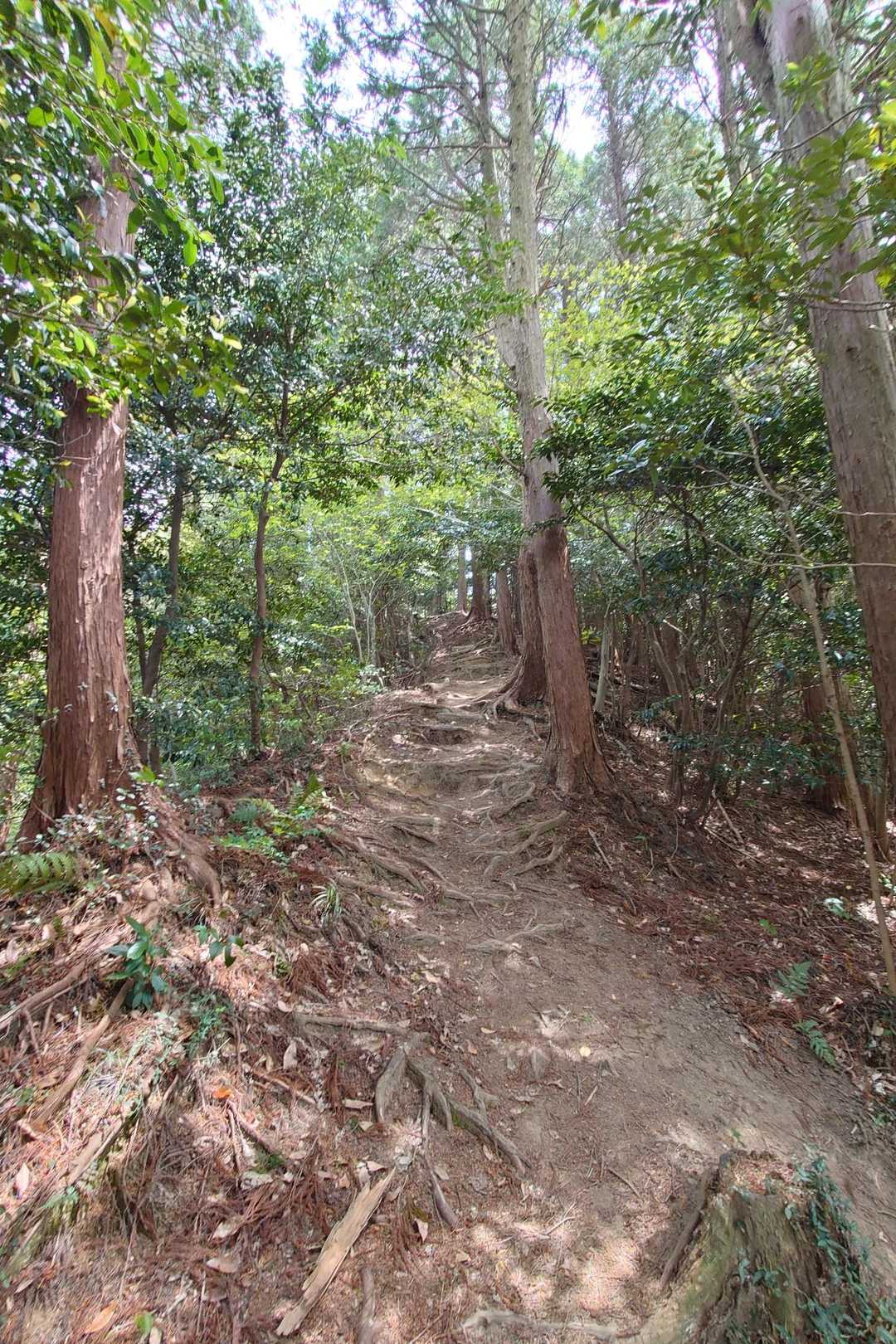 さあ、下りましょう。