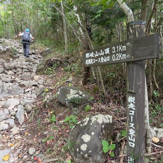 登りはＢコース