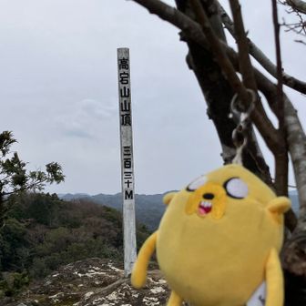 お疲れ様です。高宕山頂(330m)に到着です。山頂は狭く譲り合って写真を撮ります。山頂を堪能したので下山開始です。今日は風も強いので長くは居られません。また来た道を戻ります。