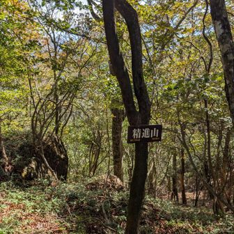 精進山山頂
見晴らしは良くない