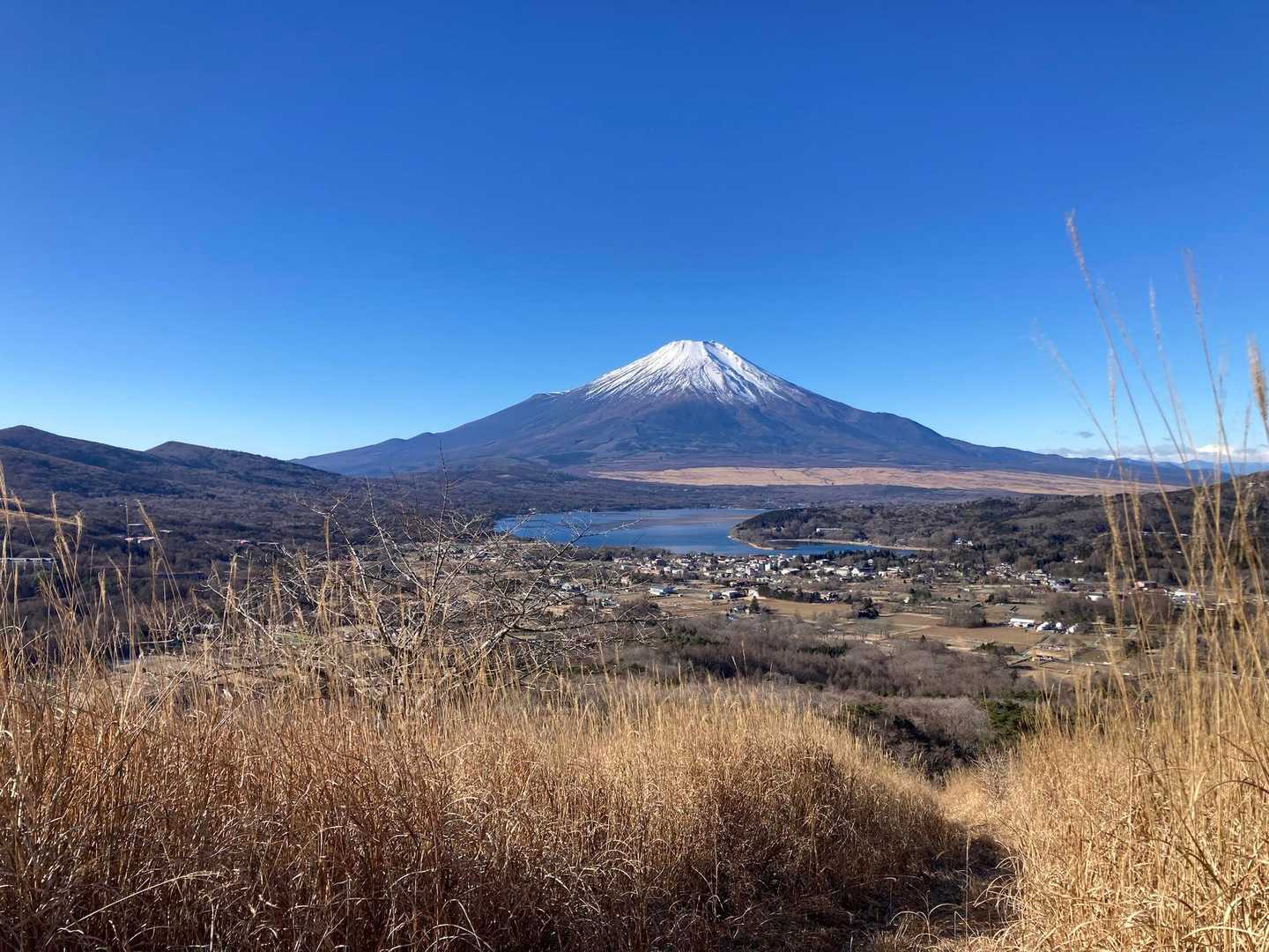 ここからの景色最高😆