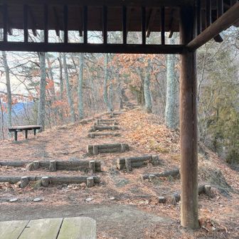 丸太階段が続く