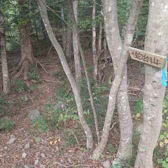 山頂への案内がある
