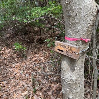 グレーピークもどんどん行きます