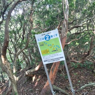 いっぷく峠❗😆