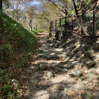 分岐から先、小地蔵岳と長七郎山へはなだらか〜
