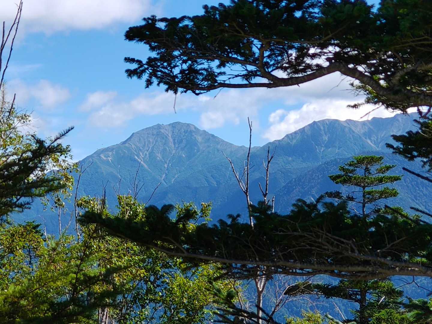 隙間から北岳