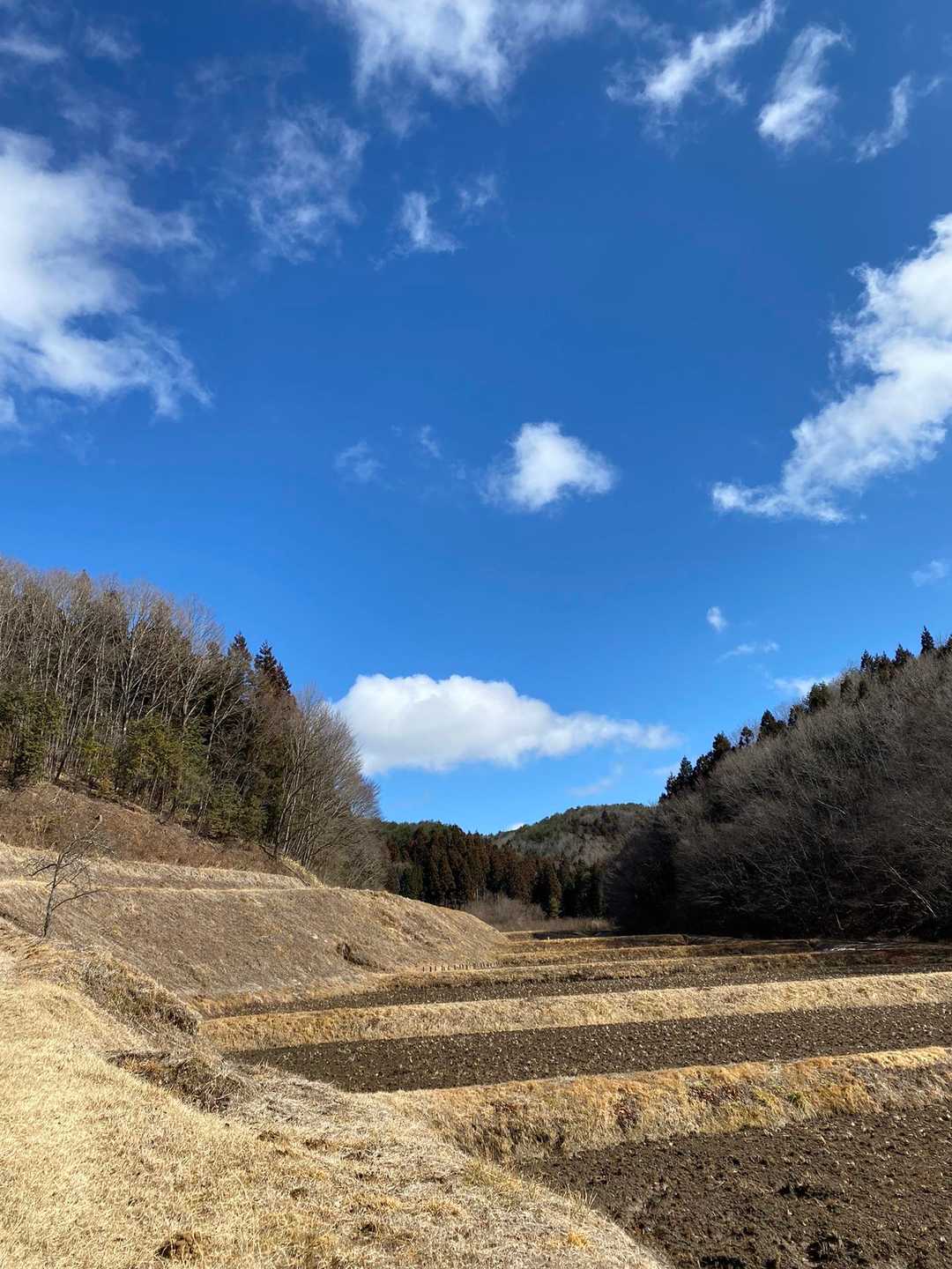 のどか、そのもの。