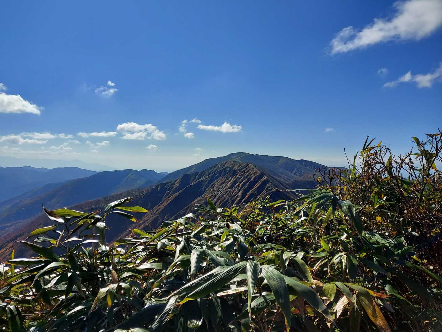 烏帽子山山頂
お休み処なし
通過🚶