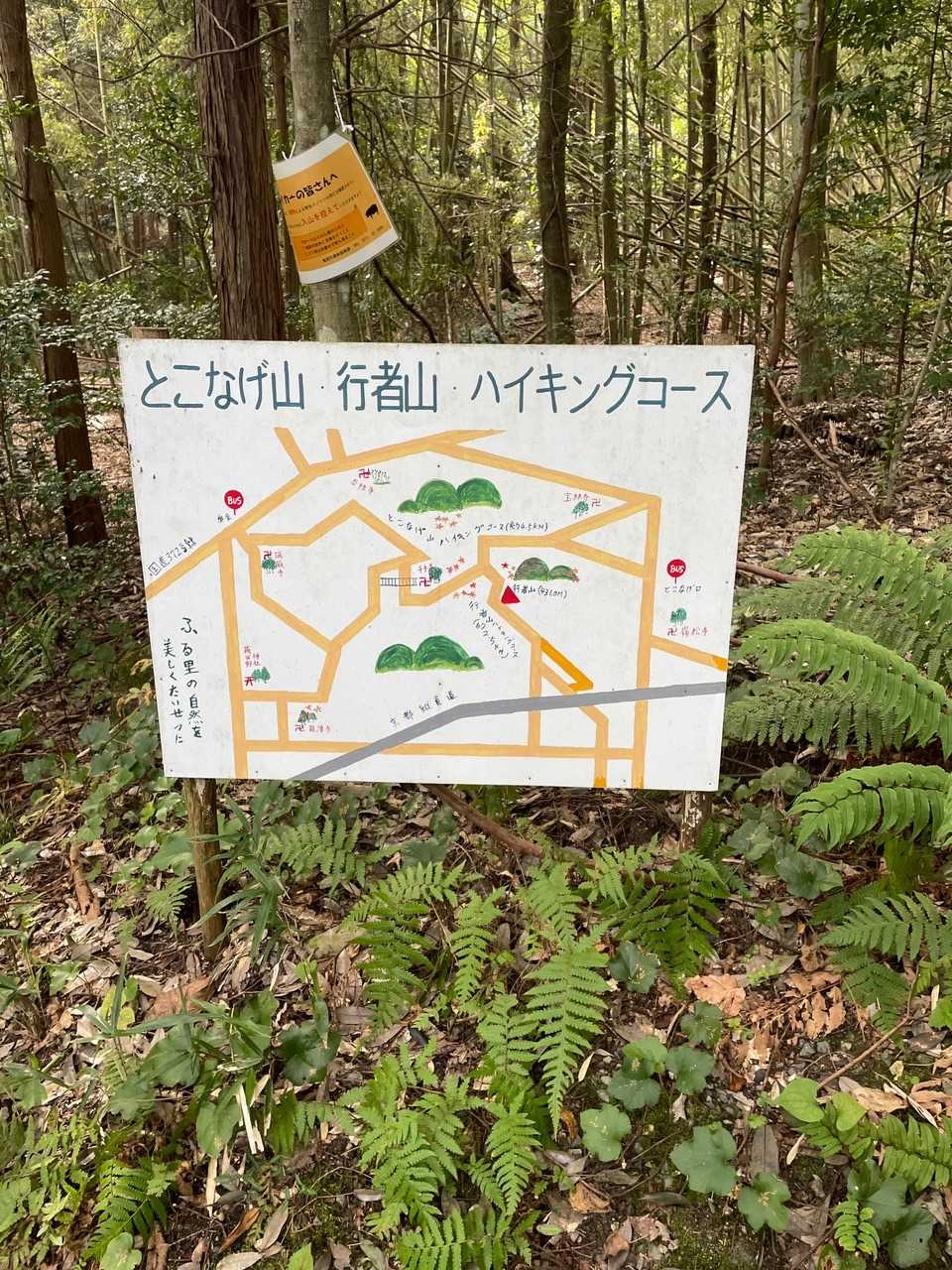 可愛い看板発見