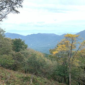 たけひろが歩く