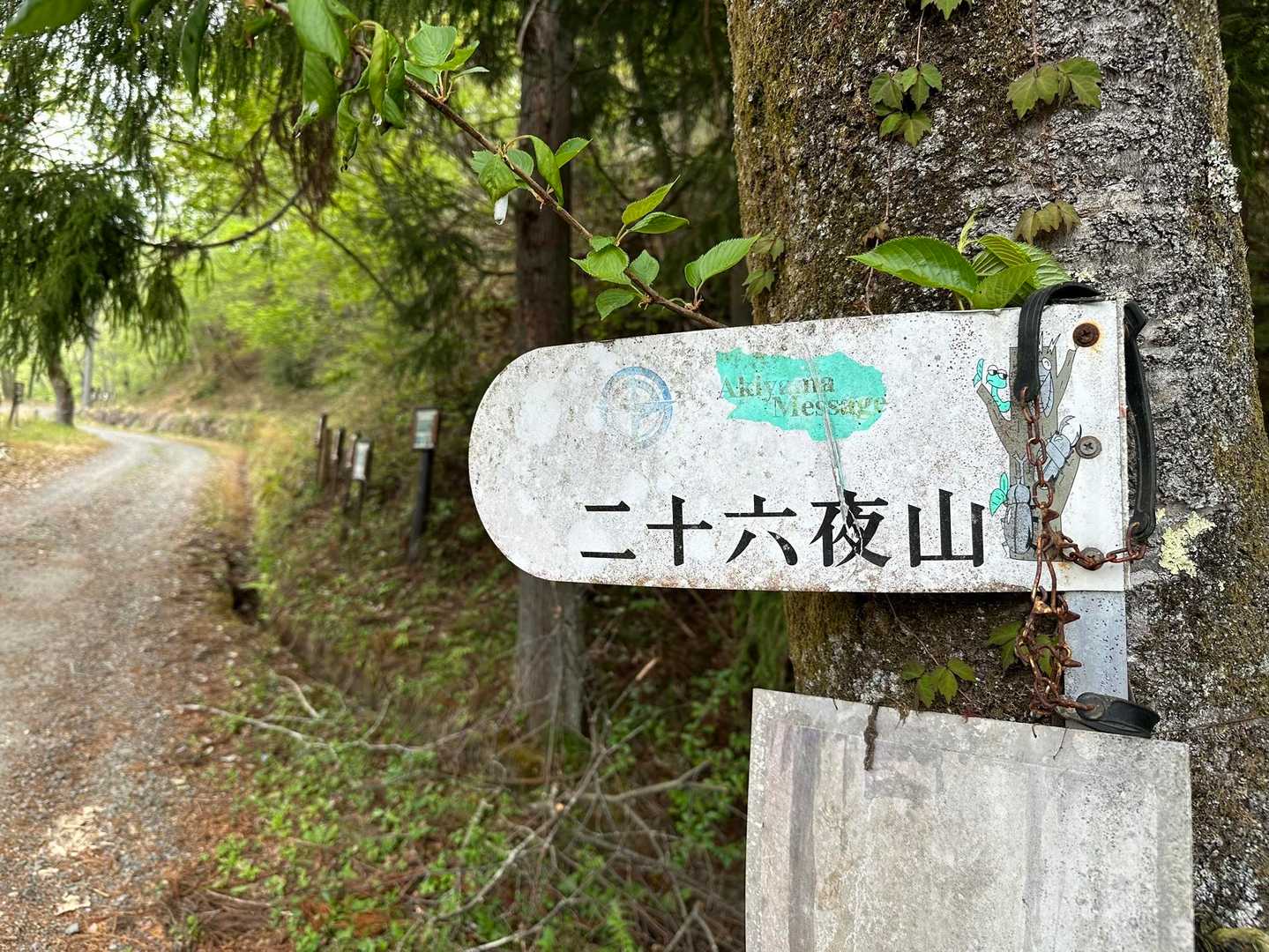 ここから歩く🚶🏻‍♀️