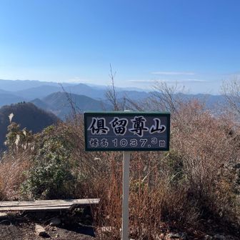 ベンチが何個かあるので、ここで休憩☕️