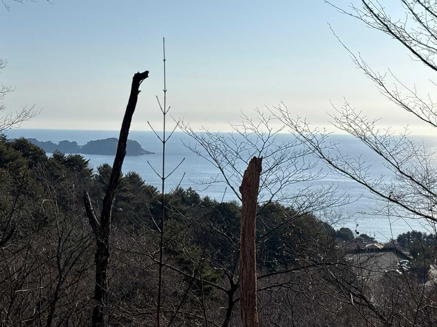 さっそく三陸の海が✨