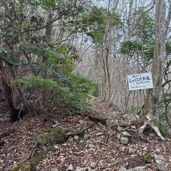 シャクナゲ尾根、急坂