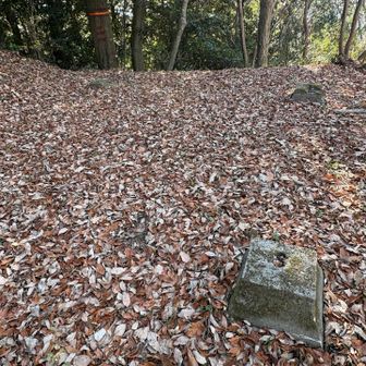 山頂の一角に建物があった跡と見られ疎石が残っていました