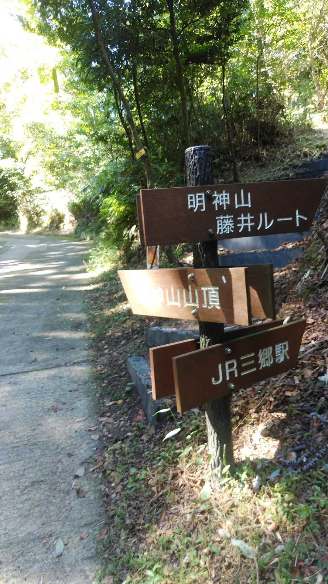 私は、コンクリートよりも迂回路の森の中の道が好きです🙆