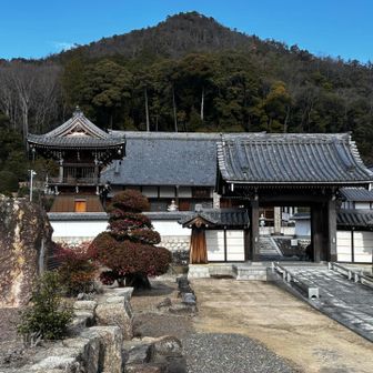 思ってたんと違うところに下山する。